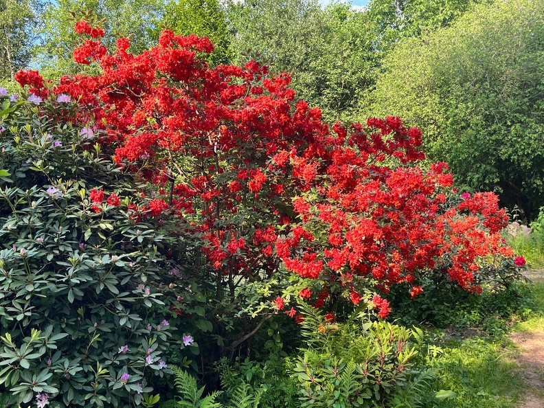 23-06-03 17-49-18 5831.jpeg